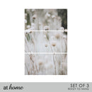 Set of 3 Just Buckwheats Canvas Wall Art