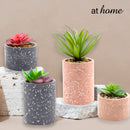 Kelsy Artificial Potted Plant - Sunstreet