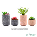 Kelsy Artificial Potted Plant - Sunstreet