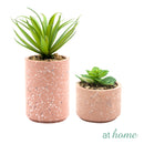 Kelsy Artificial Potted Plant - Sunstreet
