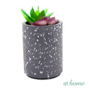 Kelsy Artificial Potted Plant - Sunstreet