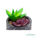 Kelsy Artificial Potted Plant - Sunstreet