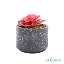 Kelsy Artificial Potted Plant - Sunstreet