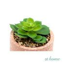 Kelsy Artificial Potted Plant - Sunstreet