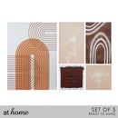 Set of 5 Brown Abstract Canvas Frame Set