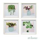 Indoor Plants Wall Frame - Sunstreet