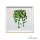 Indoor Plants Wall Frame - Sunstreet