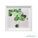 Indoor Plants Wall Frame - Sunstreet