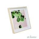Indoor Plants Wall Frame - Sunstreet