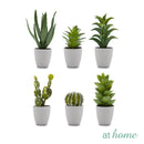 Imogen Artificial Potted Plant - Sunstreet