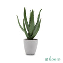Imogen Artificial Potted Plant - Sunstreet