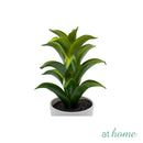 Imogen Artificial Potted Plant - Sunstreet