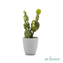 Imogen Artificial Potted Plant - Sunstreet