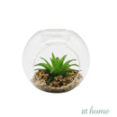 Yen Decorative Artificial Plant - Sunstreet