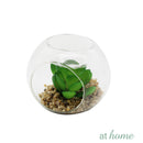 Yen Decorative Artificial Plant - Sunstreet