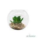 Yen Decorative Artificial Plant - Sunstreet