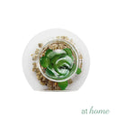 Yen Decorative Artificial Plant - Sunstreet