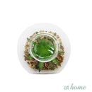 Yen Decorative Artificial Plant - Sunstreet