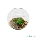 Yen Decorative Artificial Plant - Sunstreet