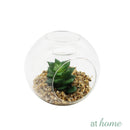 Yen Decorative Artificial Plant - Sunstreet