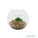 Yen Decorative Artificial Plant - Sunstreet