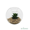 Yen Decorative Artificial Plant - Sunstreet