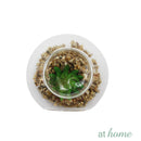 Yen Decorative Artificial Plant - Sunstreet