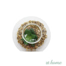 Yen Decorative Artificial Plant - Sunstreet