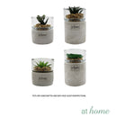 Yulo Decorative Artificial Plant - Sunstreet