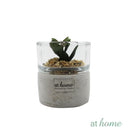 Yulo Decorative Artificial Plant - Sunstreet