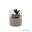 Yulo Decorative Artificial Plant - Sunstreet