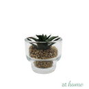 Yulo Decorative Artificial Plant - Sunstreet