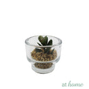 Yulo Decorative Artificial Plant - Sunstreet