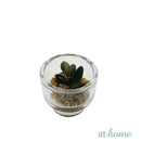 Yulo Decorative Artificial Plant - Sunstreet