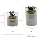 Yulo Decorative Artificial Plant - Sunstreet
