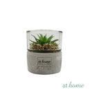 Yulo Decorative Artificial Plant - Sunstreet