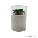 Yulo Decorative Artificial Plant - Sunstreet