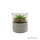Yulo Decorative Artificial Plant - Sunstreet