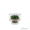 Yulo Decorative Artificial Plant - Sunstreet