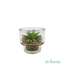 Yulo Decorative Artificial Plant - Sunstreet