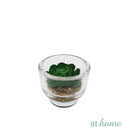 Yulo Decorative Artificial Plant - Sunstreet