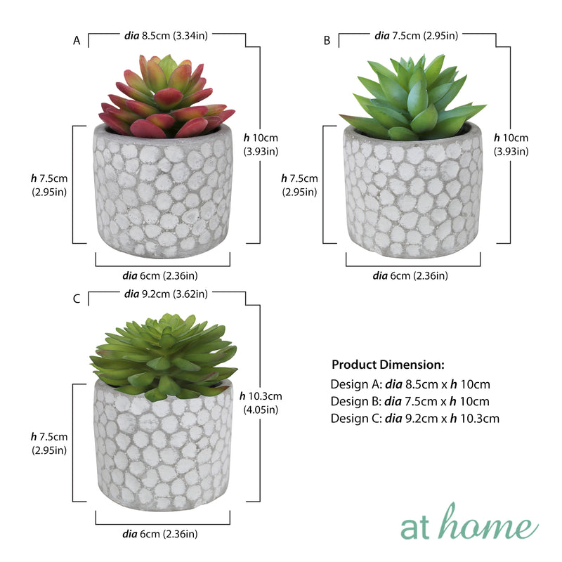 Cara Artificial Succulent Potted Plant