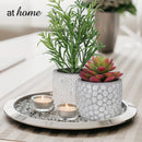 Cara Artificial Succulent Potted Plant