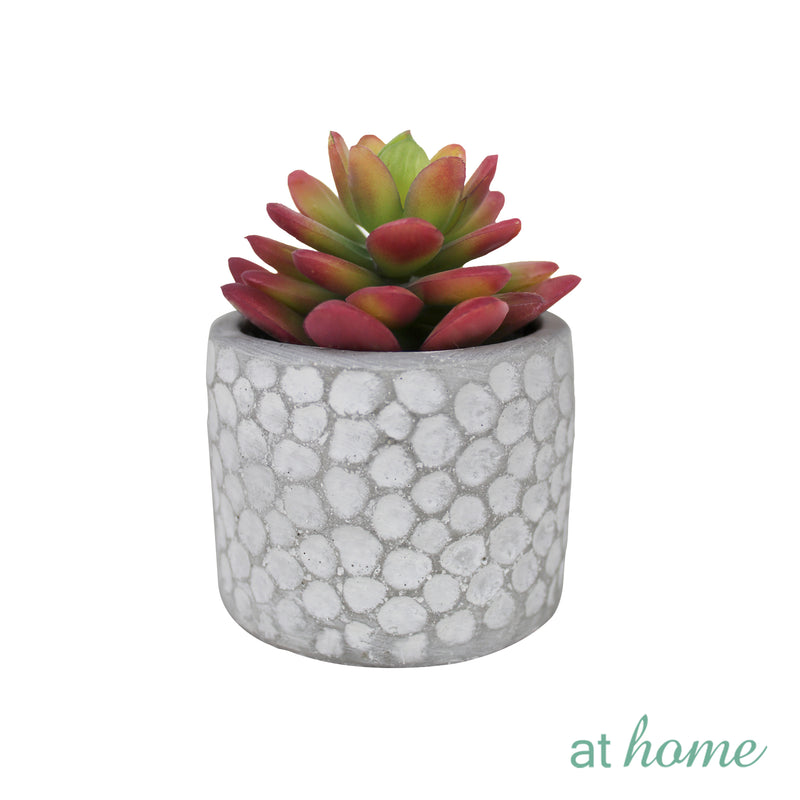 Cara Artificial Succulent Potted Plant