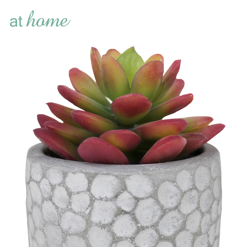 Cara Artificial Succulent Potted Plant