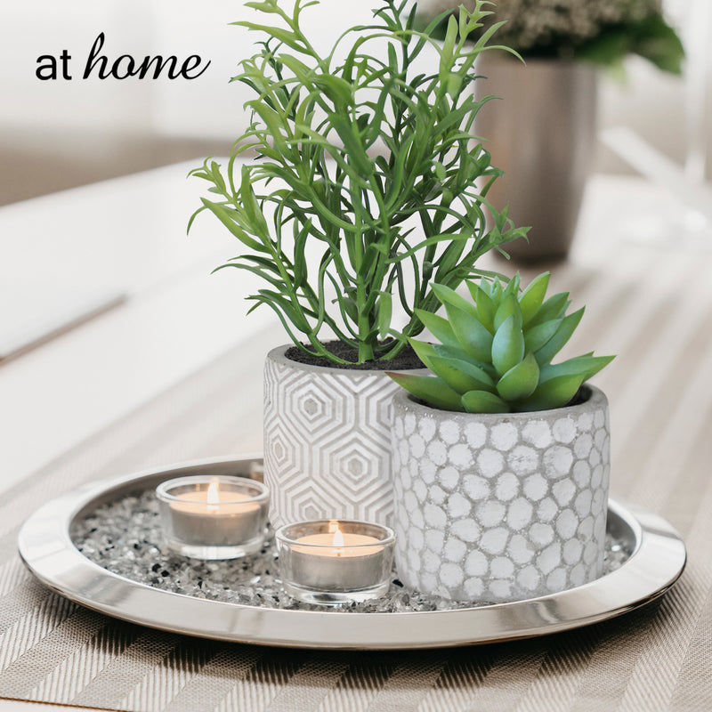 Cara Artificial Succulent Potted Plant