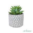 Cara Artificial Succulent Potted Plant