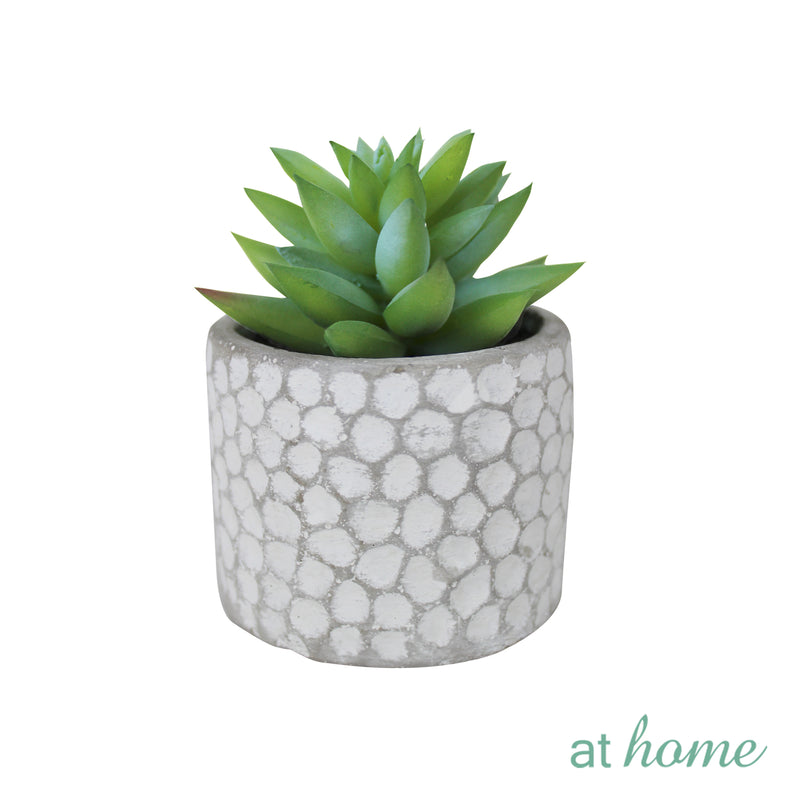 Cara Artificial Succulent Potted Plant