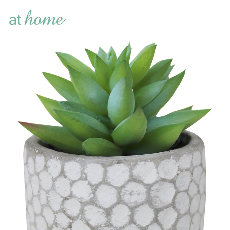 Cara Artificial Succulent Potted Plant