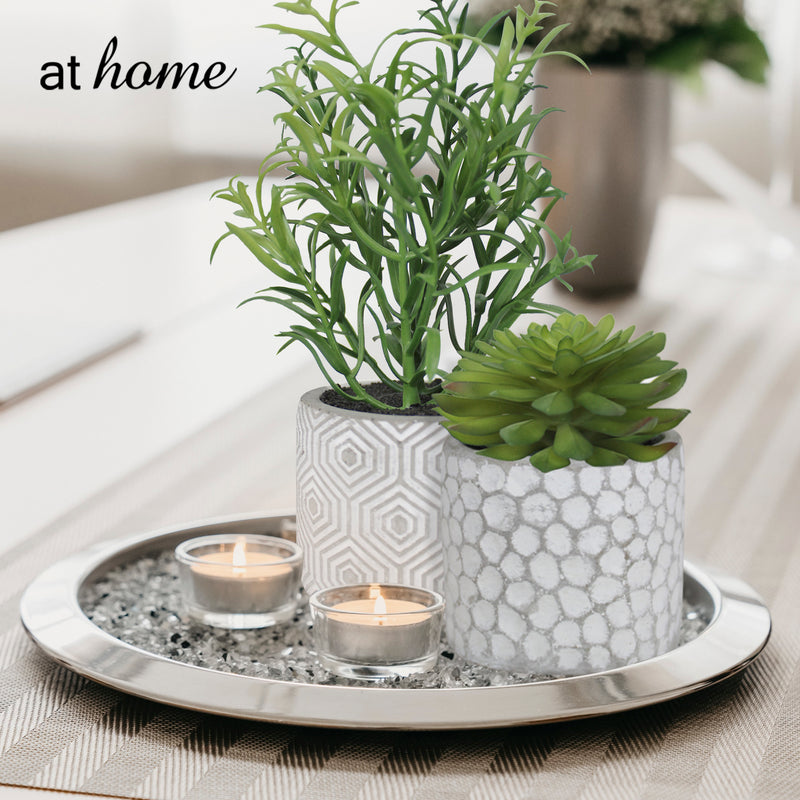 Cara Artificial Succulent Potted Plant